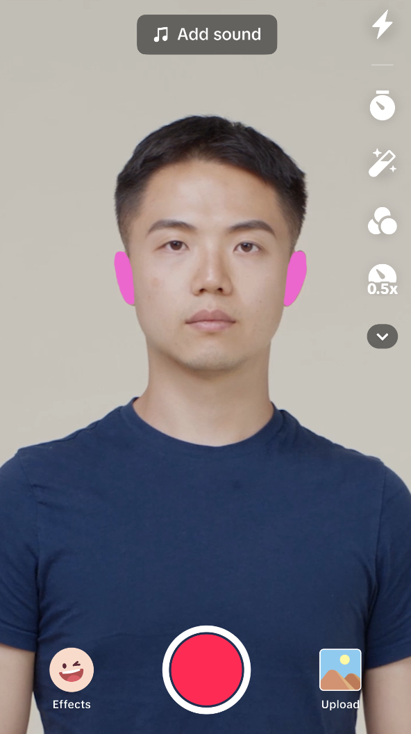 ear segmentation demo