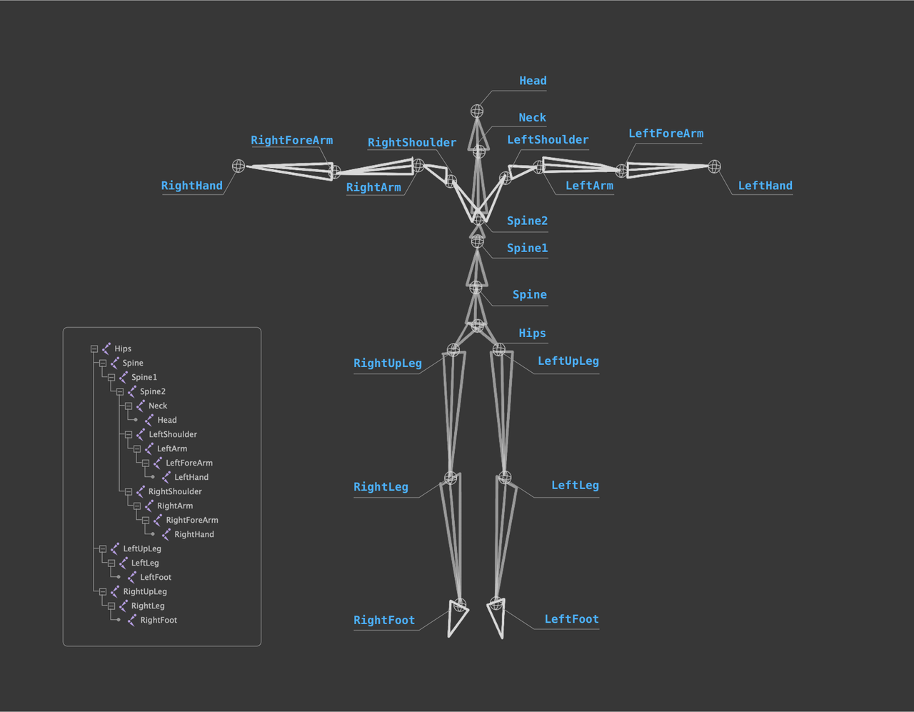 body rig diagram