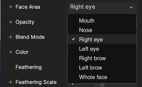 change the face area property of the face inset component to right eye