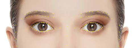 eye reference