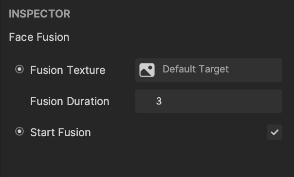 face fusion asset in the inspector panel