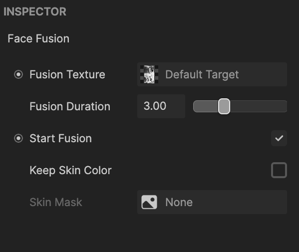 face fusion asset in the inspector panel