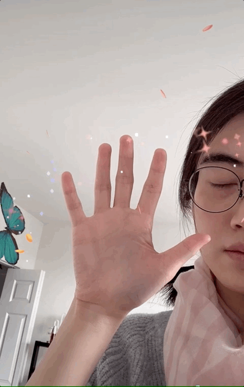 hand tracker butterfly demo