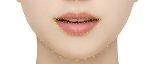lip reference