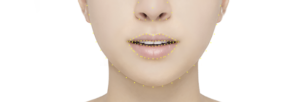 teeth reference